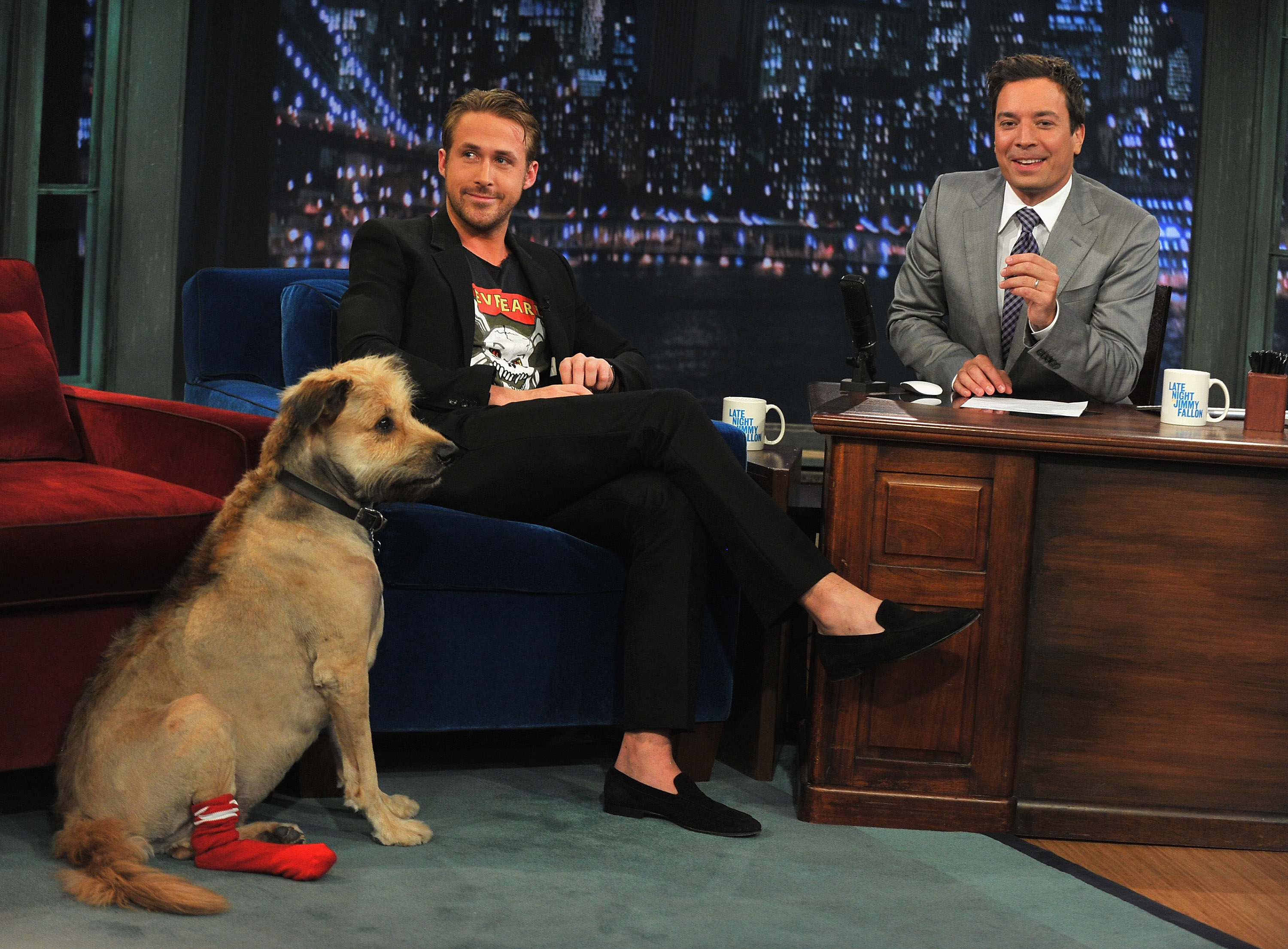 NEW YORK, NY - JULY 20:  Ryan Gosling along with his dog George visits "Late Night With Jimmy Fallon" at Rockefeller Center on July 20, 2011 in New York City.  (Photo by Theo Wargo/Getty Images)